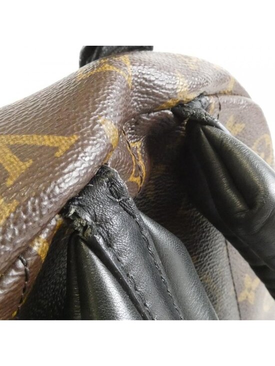 Louis Vuitton Monogram Palm Springs Backpack MM Sac main image 4